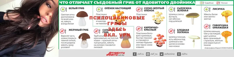 Галлюциногенные грибы прущие грибы  Касимов 